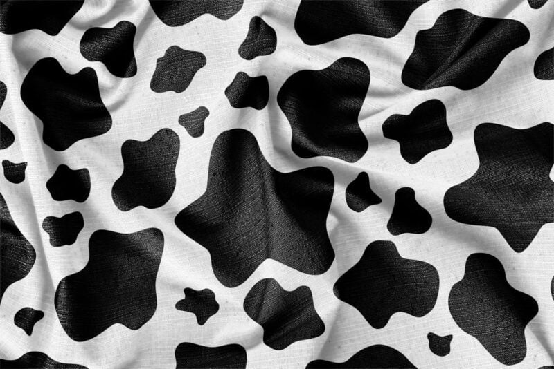 Detailed close-up preview of the gorgeous cow jacket pattern