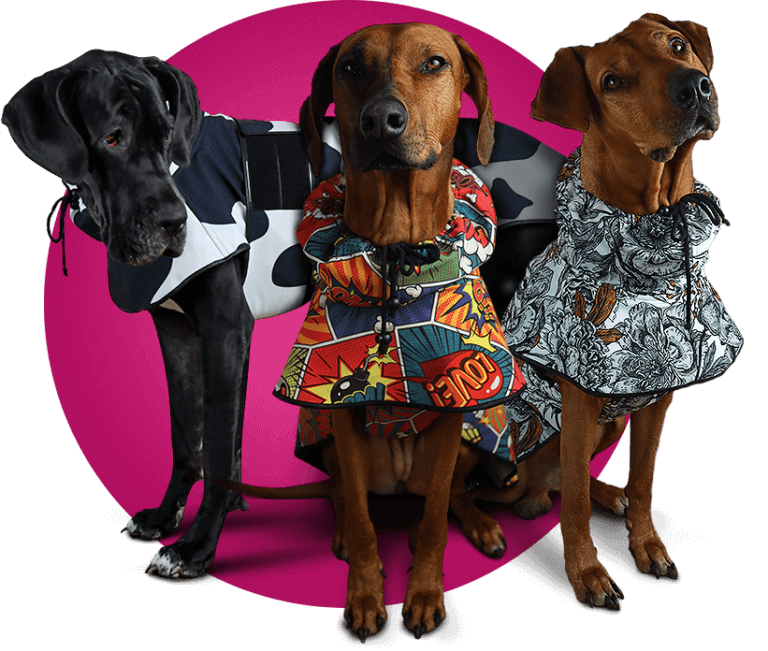 Jackets for dogs. Bluses for dogs. Our products are colourful, rainproof, windproof and come in many interesting patterns.