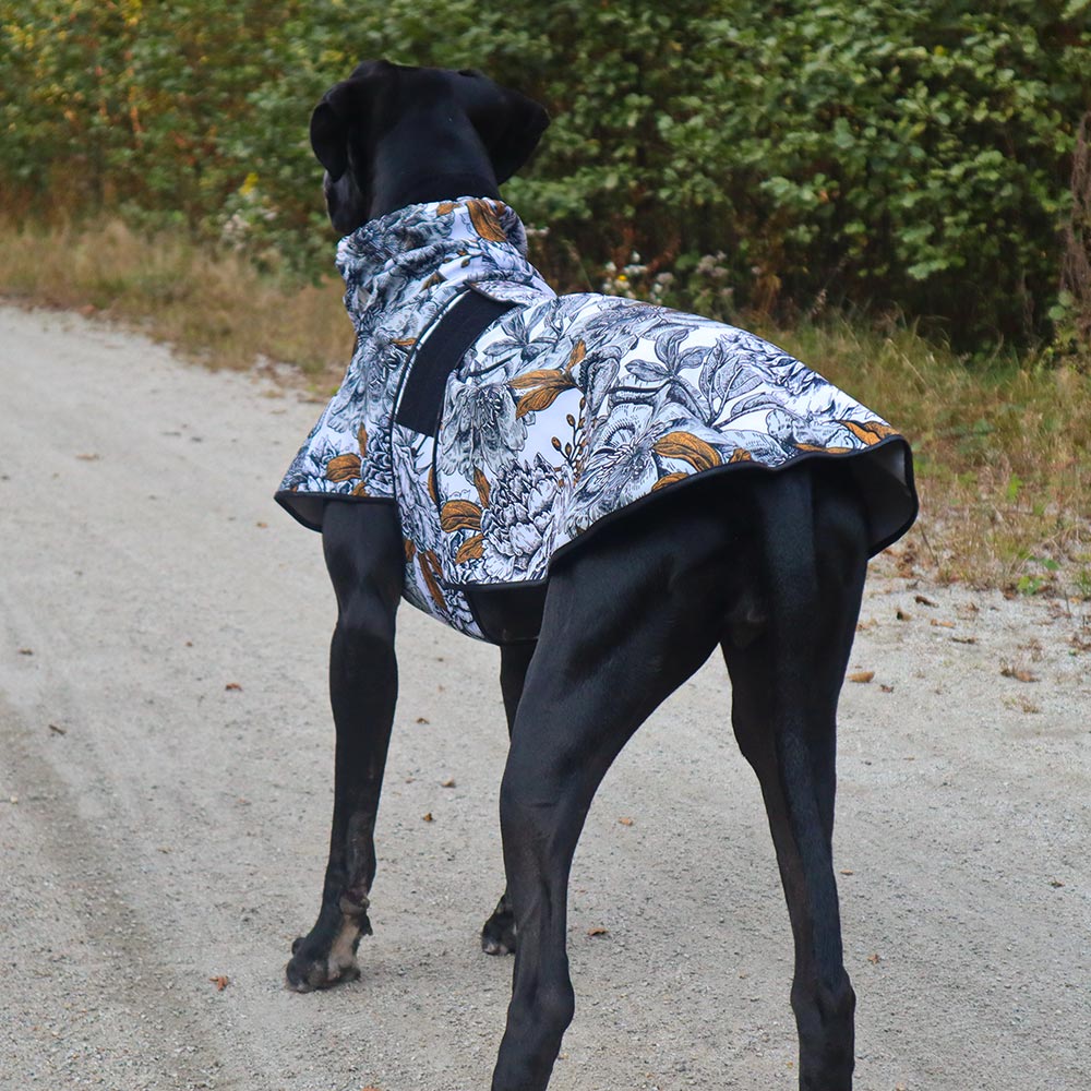 Casey Dog Niemiecki na spacerze w kurtce z softshellu z przepięknym czarno-białym wzorem liści