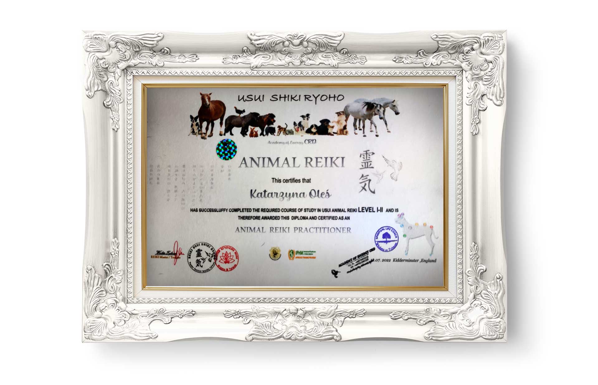 Certificate USUI SHIKI RYOHO -Animal Reiki Level I - II