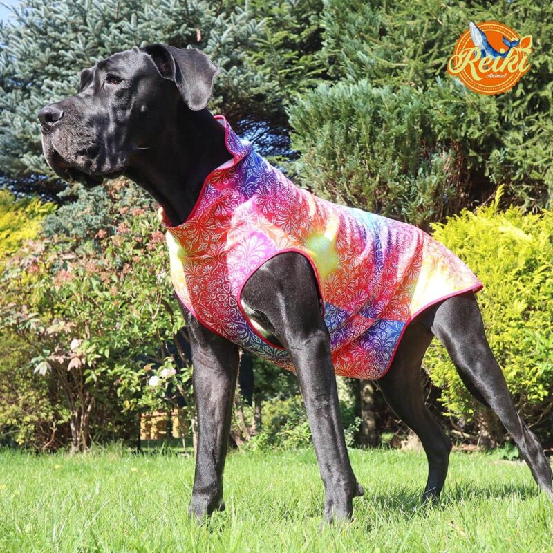 Post-operative dog clothes, "Mandala" sweatshirt, made of high-quality cotton. Our sweatshirts not only provide exceptional comfort to your pet, but also carry healing vibrations that can contribute to comprehensive care for its health.