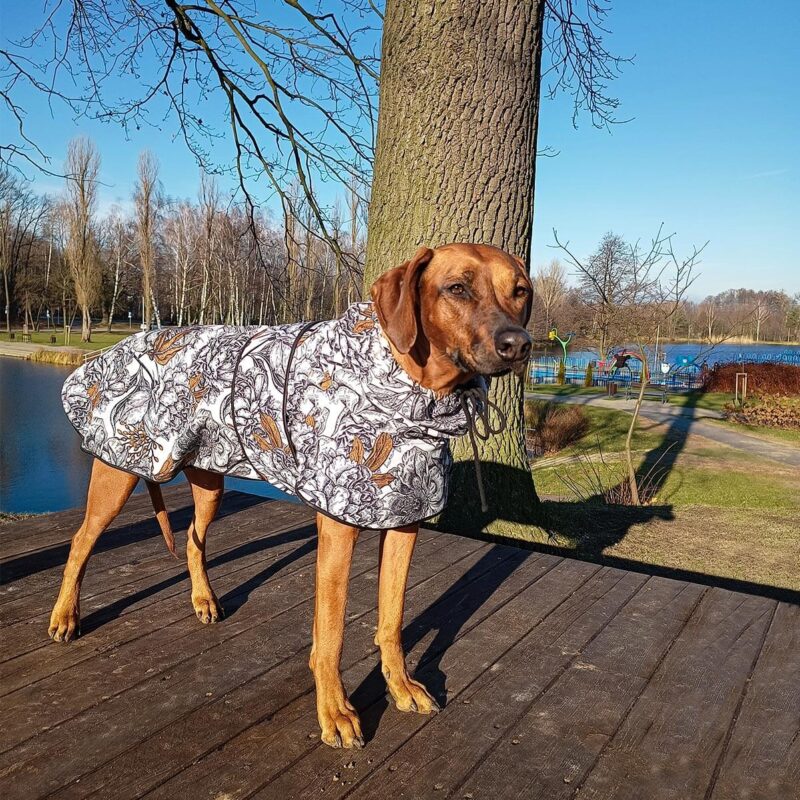 Jacket for dogs of large and small breeds "Peonies"