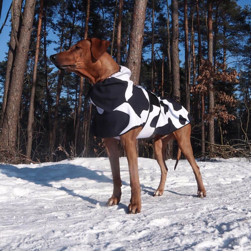 Przeciwdeszczowy płaszcz dla psa - "Krowie łaty"