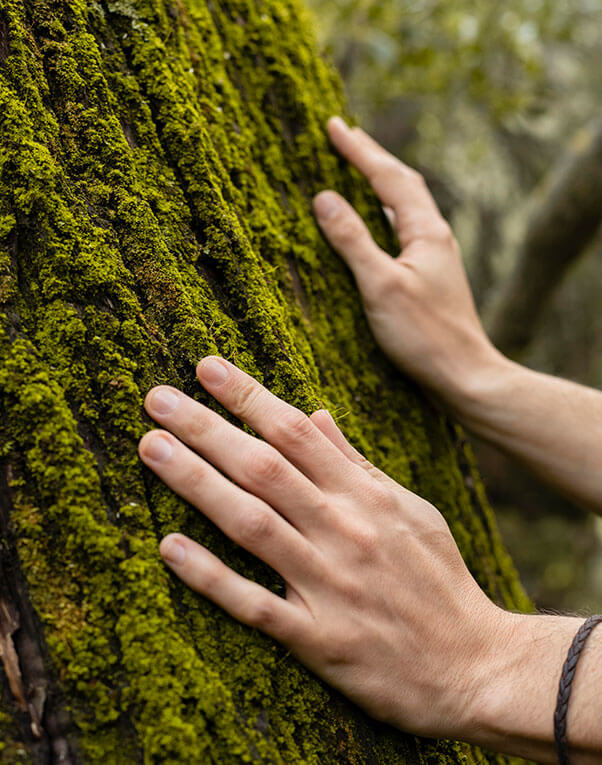 Dotyk naturoterapii czyli poczuj magiczną moc drzewa i jego natury